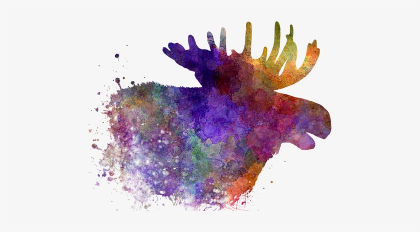 Click And Drag To Re-position The Image, If Desired - Pablo Romero, transparent png download