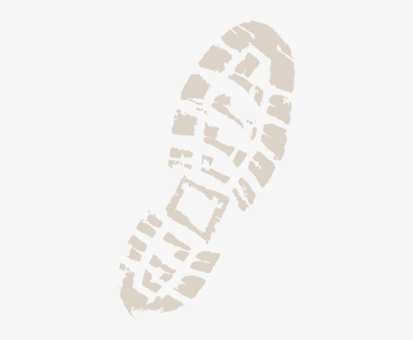 Steiner Wildlife Pro - Binoculars 8 X 30, transparent png download