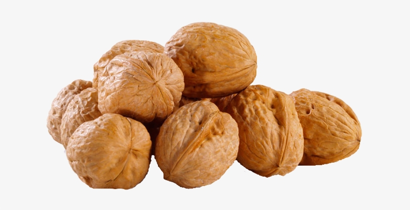 Walnut Png - Cartoon Squirrel Hiding His Nuts, transparent png download