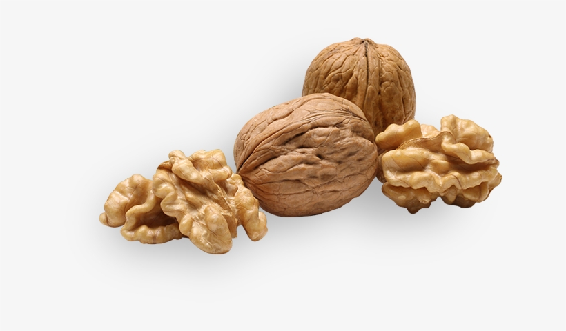 Walnuts Png Picture - Walnuts Transparent Background, transparent png download
