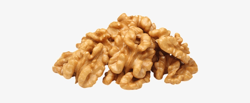 Walnuts Png Photo - Food To Live Organic Walnuts (raw, No Shell) (25 Pounds), transparent png download