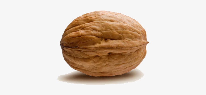 Walnut Png - Walnut Transparent, transparent png download