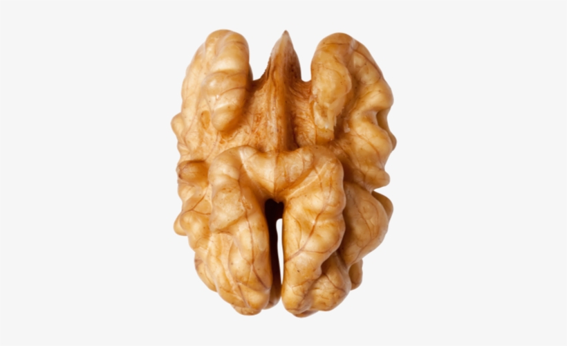 Walnuts Transparent Png - Food Items Look Like Body Parts, transparent png download