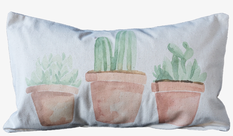 Potted Succulents Terrecotta - Flowerpot, transparent png download