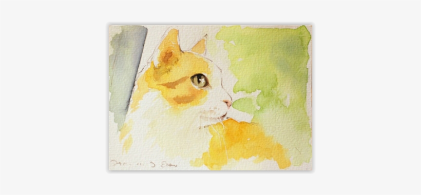 Find This Pin And More On Watercolor By Magnuson2934 - Domestic Short-haired Cat, transparent png download