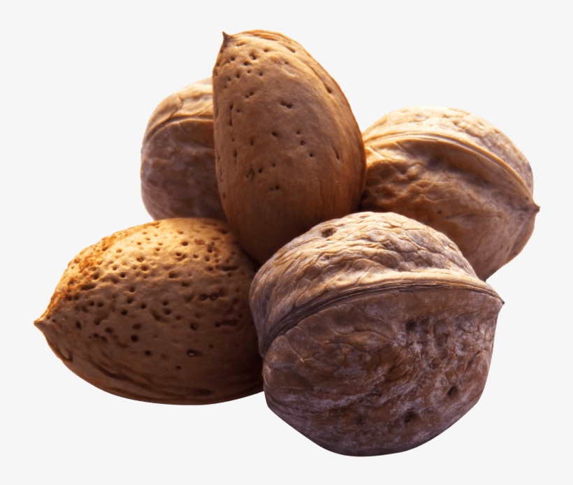 Free Png Walnut Png Images Transparent - Png Nuts, transparent png download