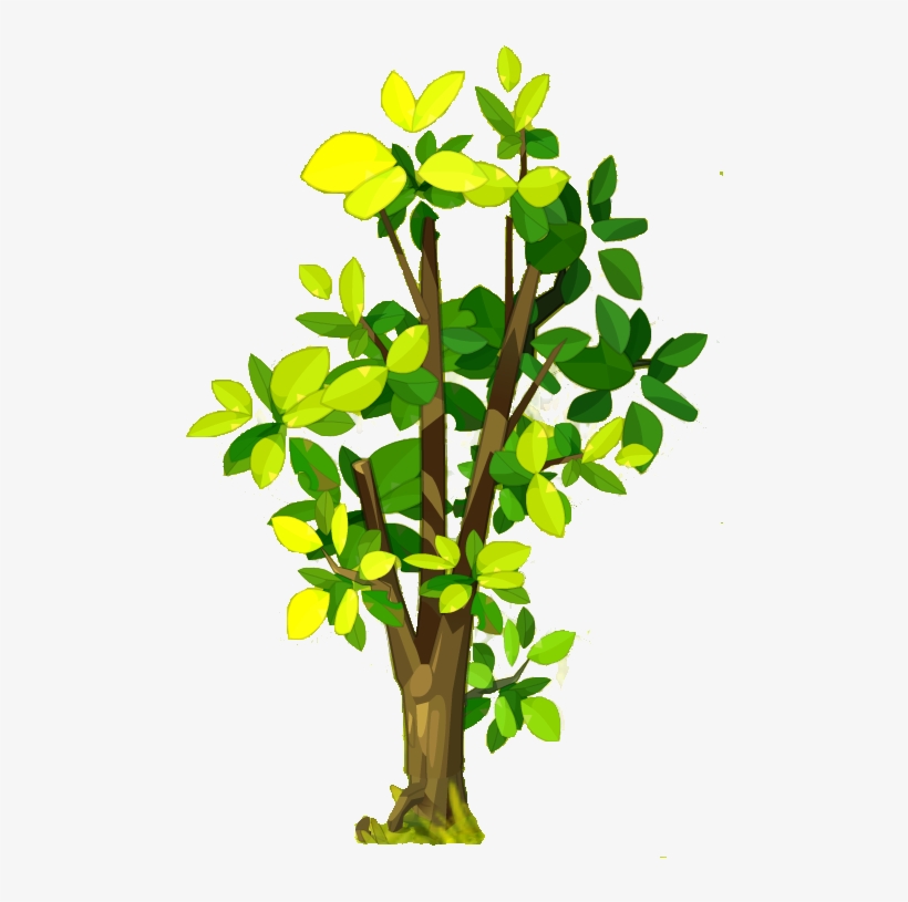 Walnut, transparent png download