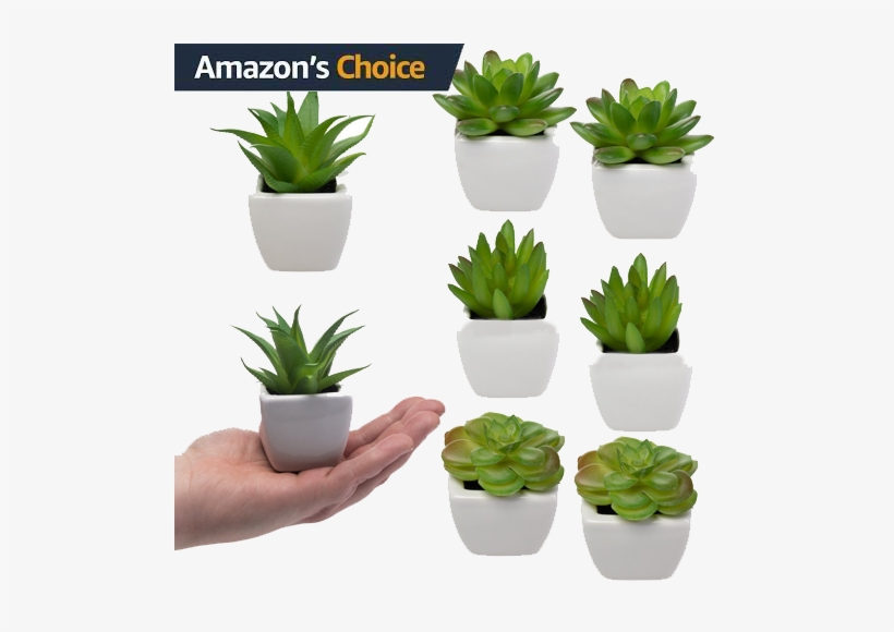 Set Of 8 Small Green Artificial Succulents In White - Small Plants, transparent png download