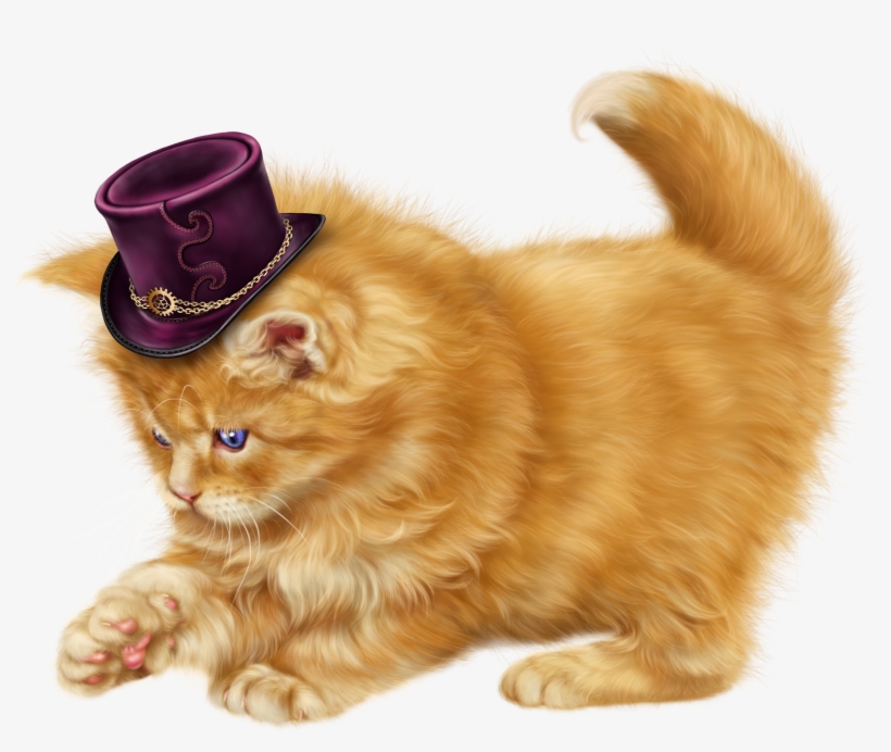 Pin By Lidia On Kot Pinterest Kitten - Cat Clipart, transparent png download