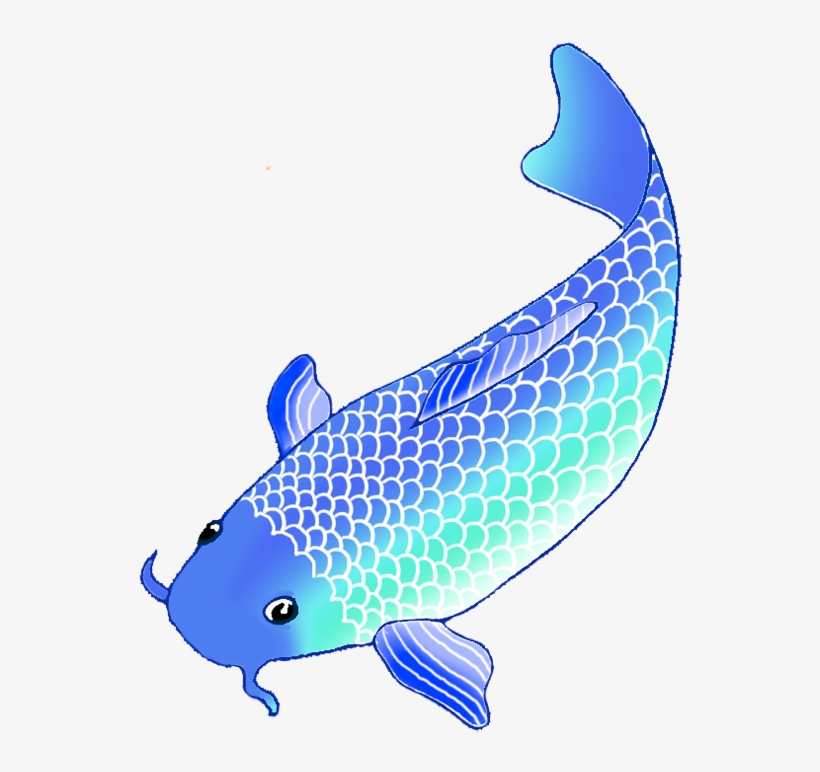 Colorful Koi Fish Drawings Graphic Freeuse Download - Koi Fish Clipart Png, transparent png download