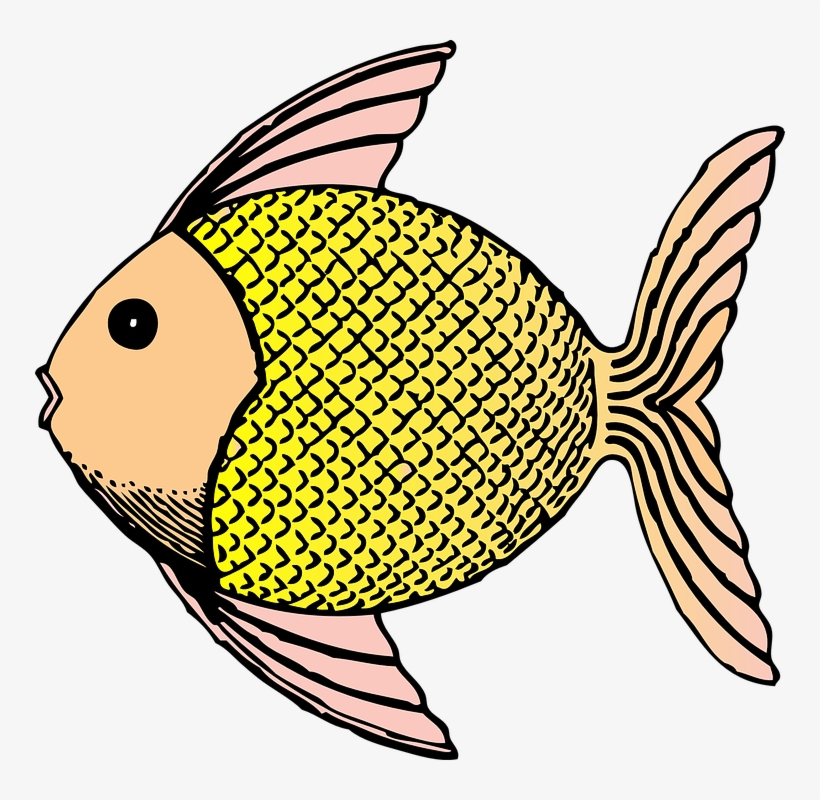 Chinese Koi Illustrations - Fish Clip Art, transparent png download