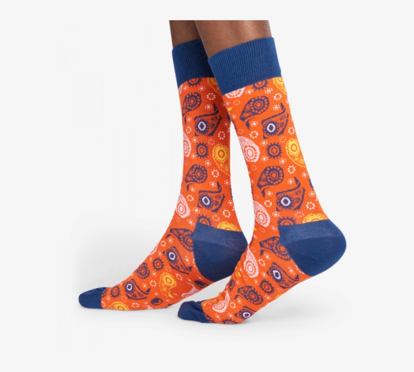 Sock, transparent png download