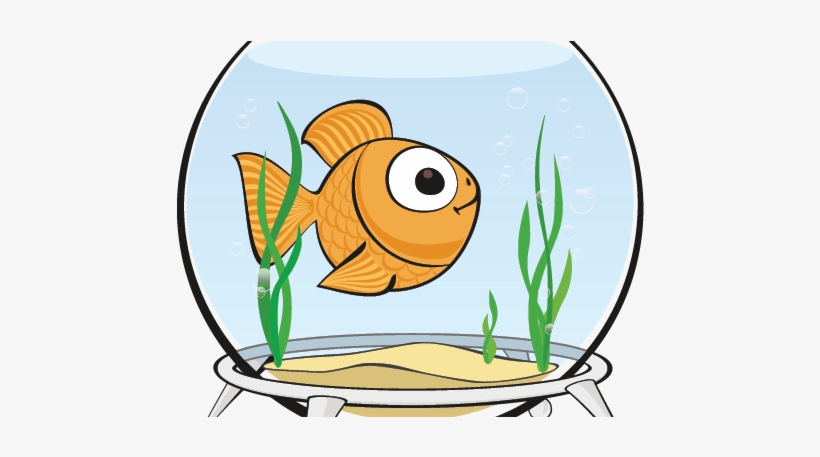 Aquatics Go Fetch The Ofishal Guide - Acquario Per Il Pesce Disegno, transparent png download