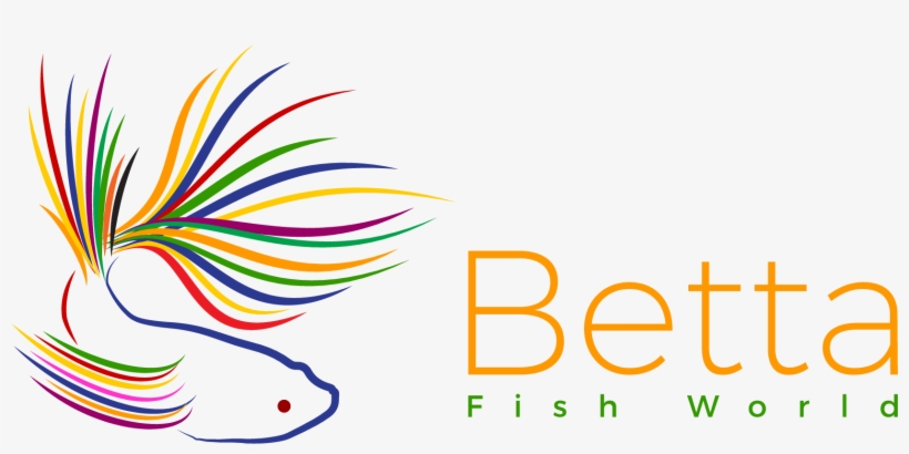Betta Fish World - Aquarium, transparent png download