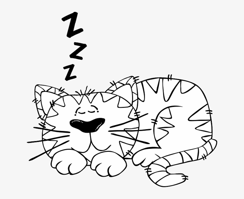 Betta Fish Sleep Too Animals Need Sleep - Sleep Cartoon Black And White, transparent png download