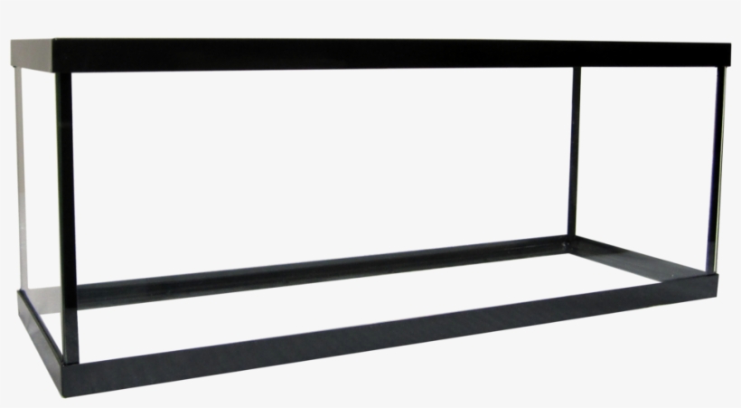 5 Betta Aquarium - Aquarium, transparent png download