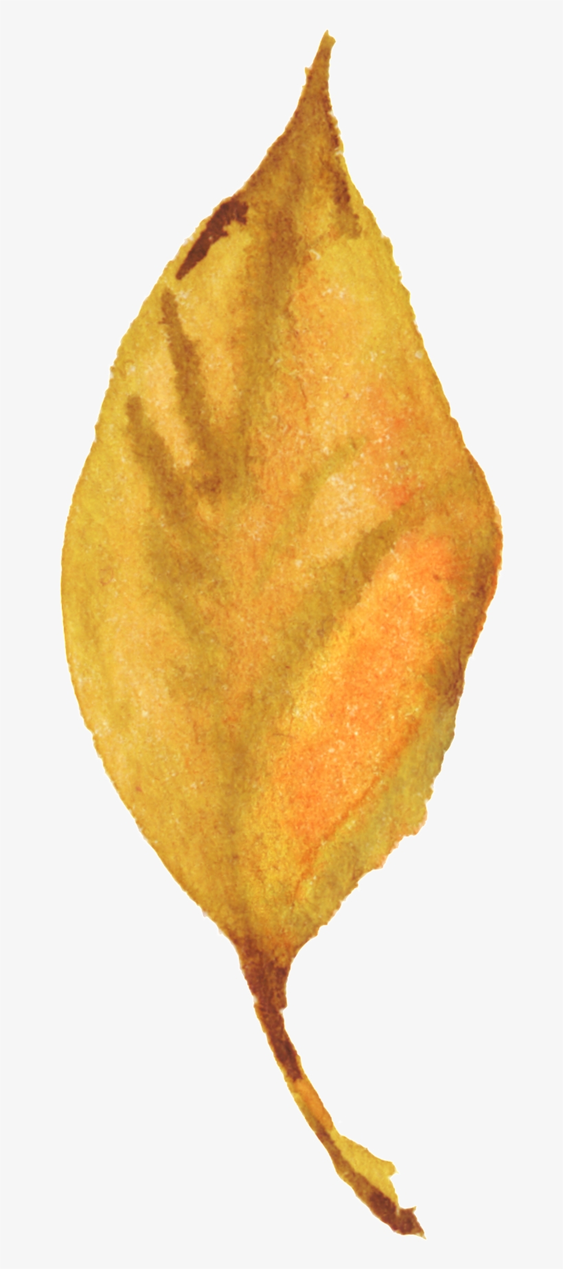 Deciduous Ornamental Material For Autumn Leaves - Portable Network Graphics, transparent png download