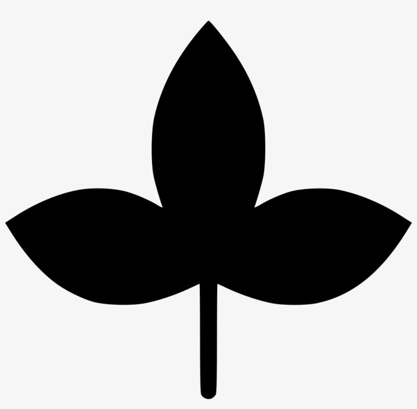 Autumn Leaf - - Scalable Vector Graphics, transparent png download