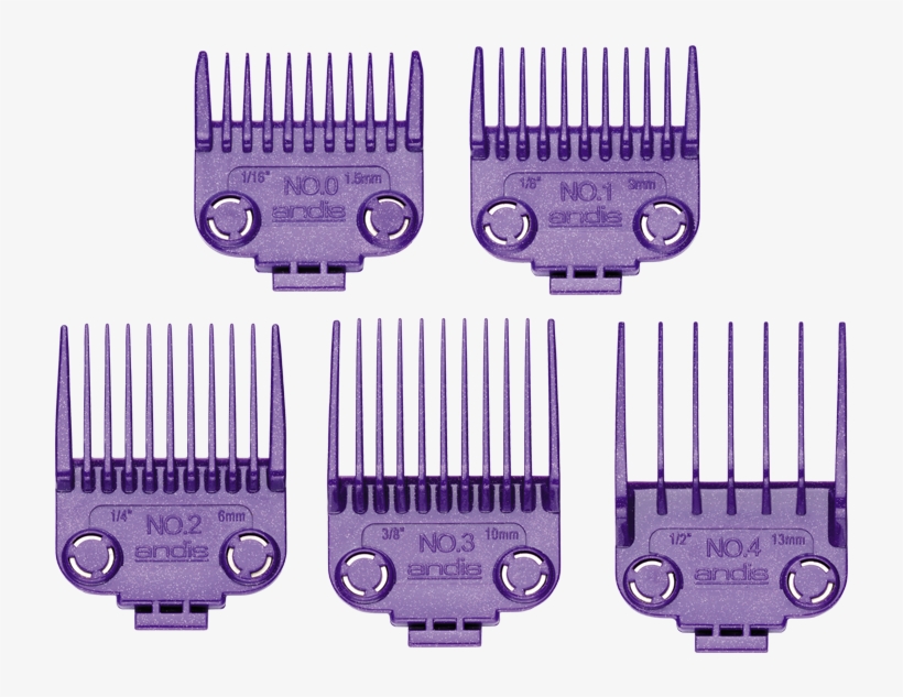 31 Andis Black Label Master - Labels 2021