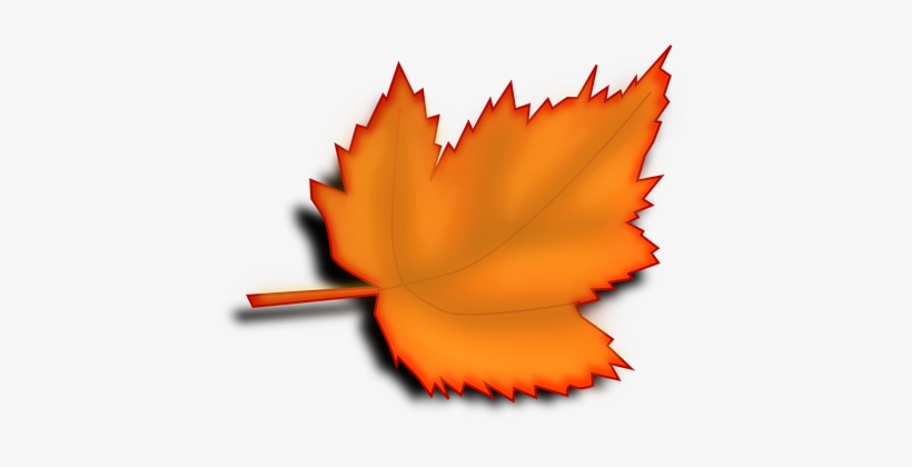 Maple, Autumn, Fall, Leaf, Orange - Orange Autumn Leaf, transparent png download