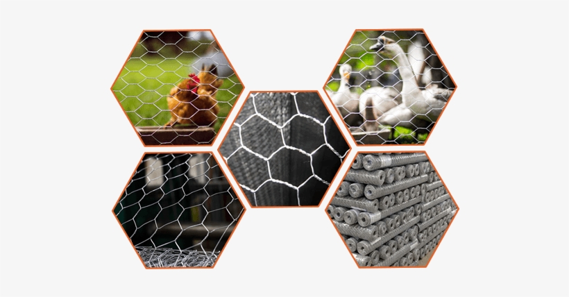 Steel Hexagonal Wire Mesh Can Be Used For Chicken Wire - Wire, transparent png download