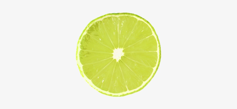 Lime Slice Lime Slice Slice Of Lime Green - Lime, transparent png download