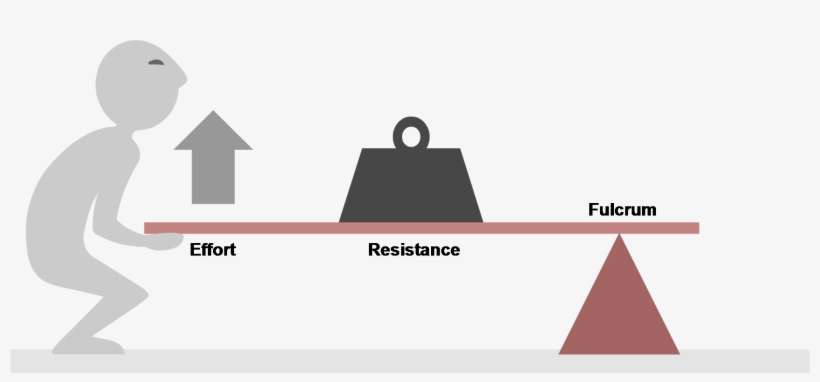 Second-class Lever - Second Class Lever, transparent png download