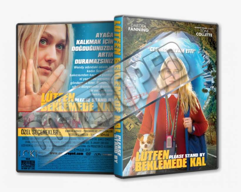 Flyer, transparent png download