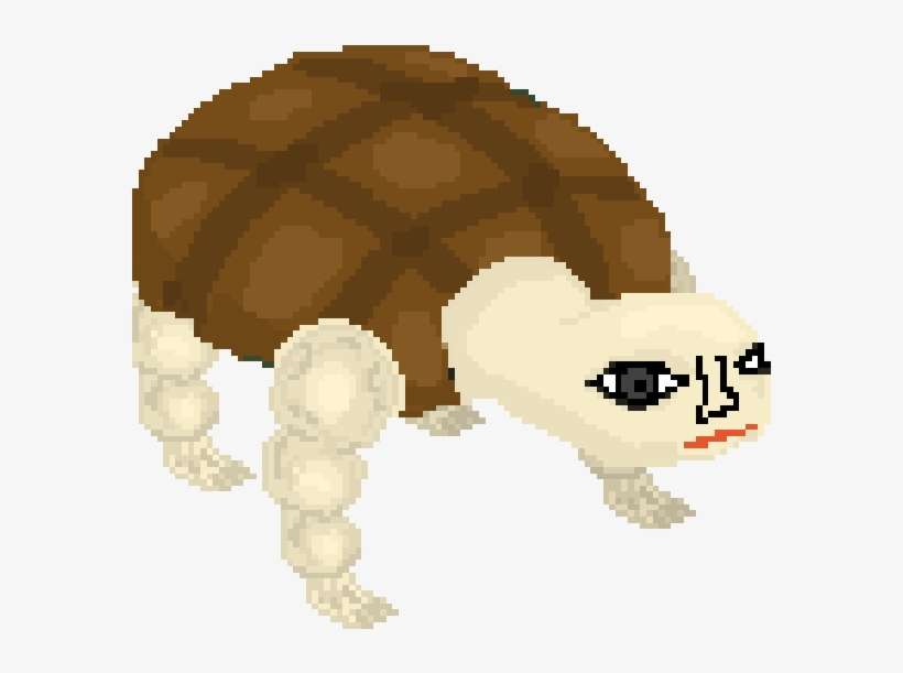 Stand By Derry 🎈 On Twitter - Tortoise, transparent png download