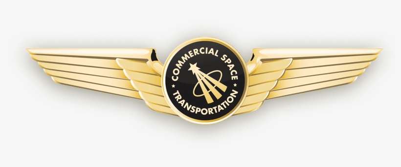 Badge, transparent png download