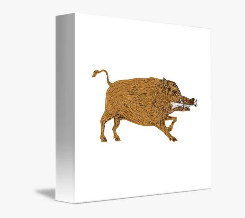 Wild Bone In Mouth - Boar, transparent png download