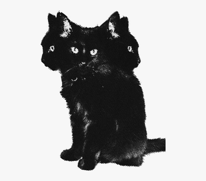 Tumblr - Les Colocs Belzébuth, transparent png download
