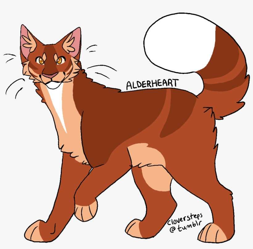 He Gets His Marking From His Dad And His Tail From - Warrior Cats Alderheart, transparent png download
