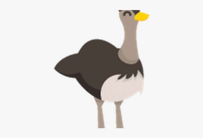 Cartoon Easy Australian Animals, transparent png download