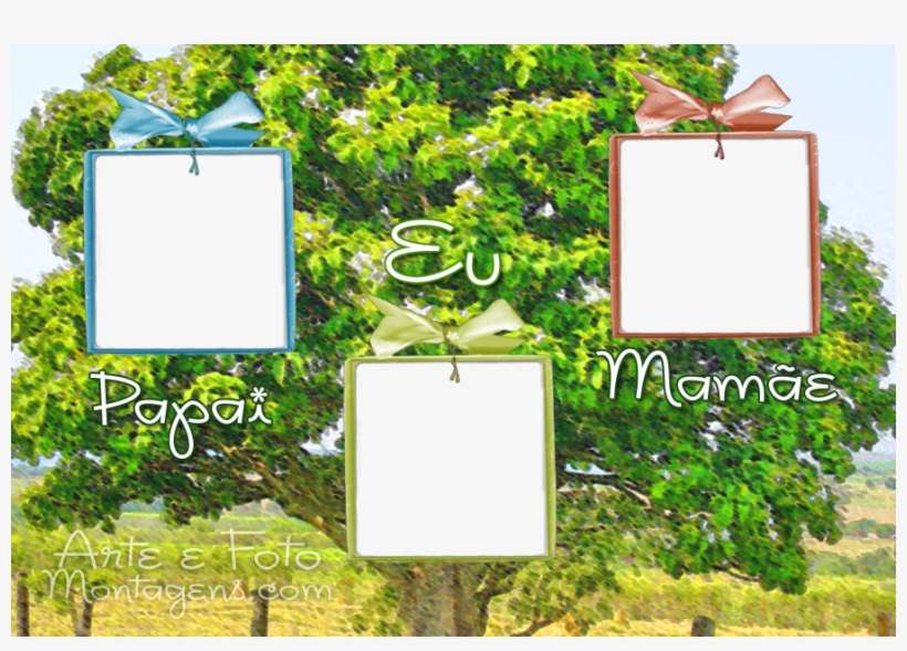 Photoscape Online Montagens - Moldura De Arvore Genealogica, transparent png download