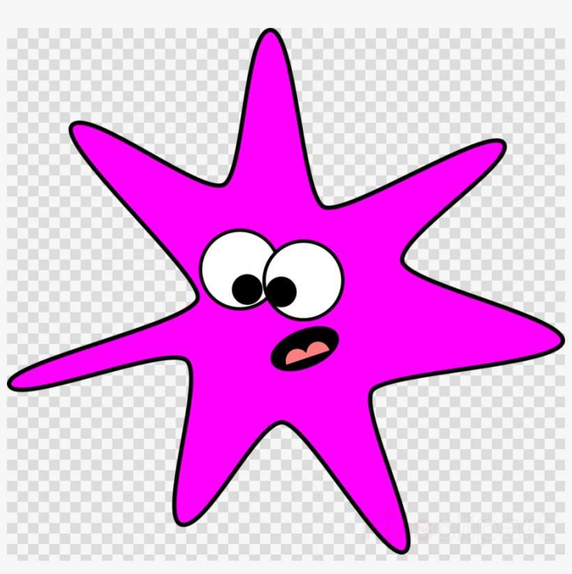 Star Starfish Png Image - Clipart Ash Wednesday, transparent png download