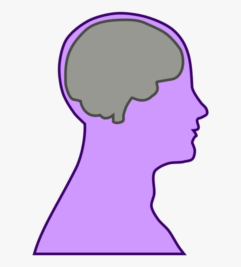 Brain Human Man - Brain Clip Art, transparent png download