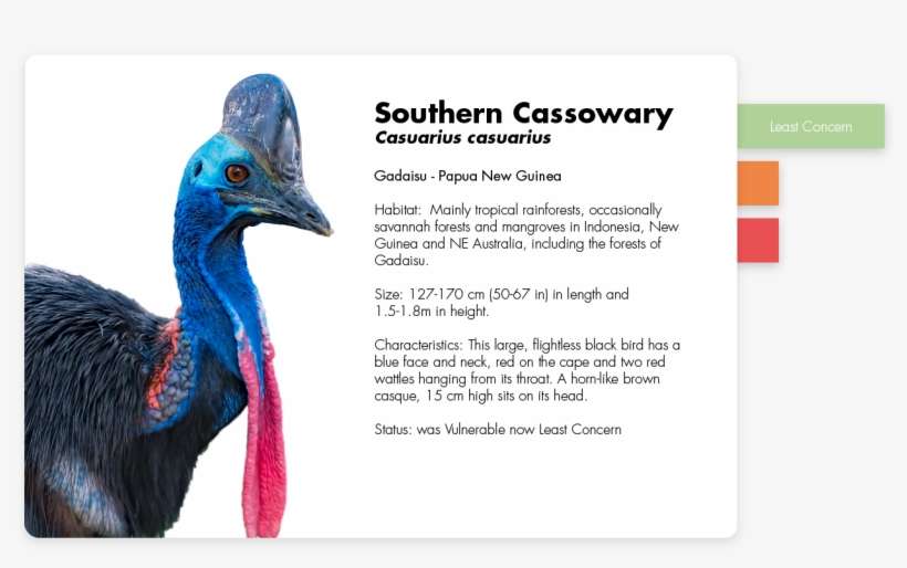 From Pollinating Our Crops To Keeping A Varied Food - Turkey, transparent png download