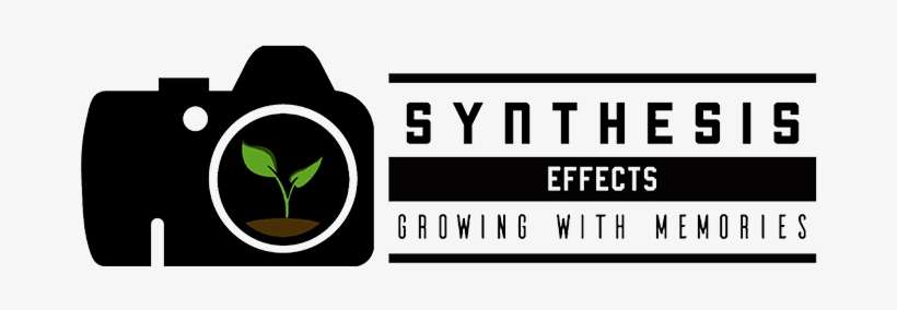 Perspectives Film Festival - Graphic Design, transparent png download