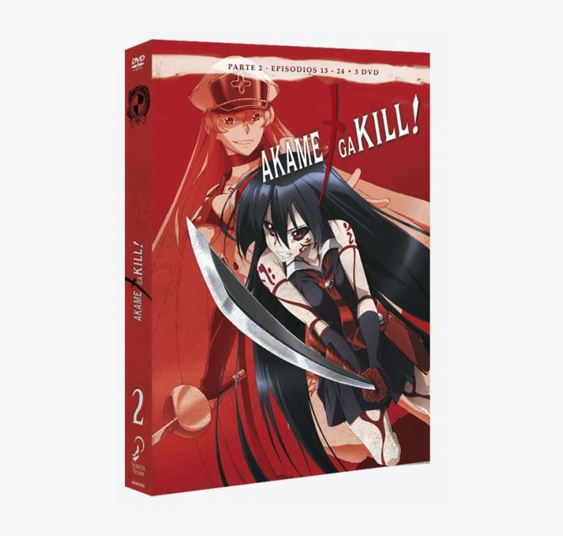 Akame Ga Kill Episodios 13 A 24 Dvd - Akame Ga Kill, transparent png download