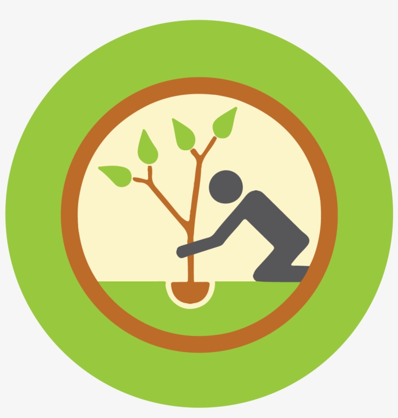 Cherry's Home & Garden Supplies Inc - Tree Planting Clip Art, transparent png download