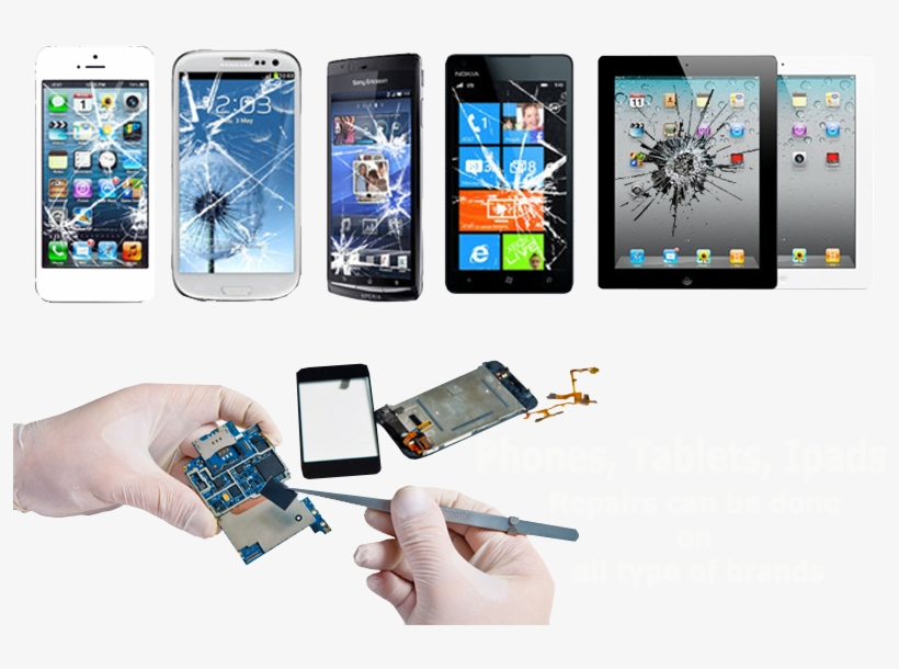 Image01 - Image02 - Image03 - Image04 - Cellular Repair, transparent png download