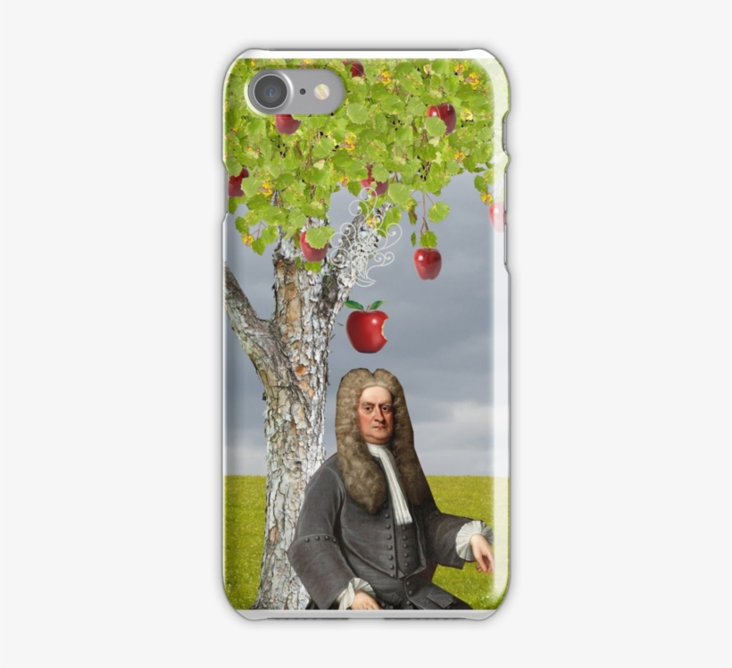 Isaac Newton Apple Tree Painting - Isaac Newton Apple Tree, transparent png download