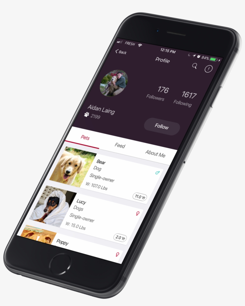 Tilted Aidan - Phone Tilted Png, transparent png download