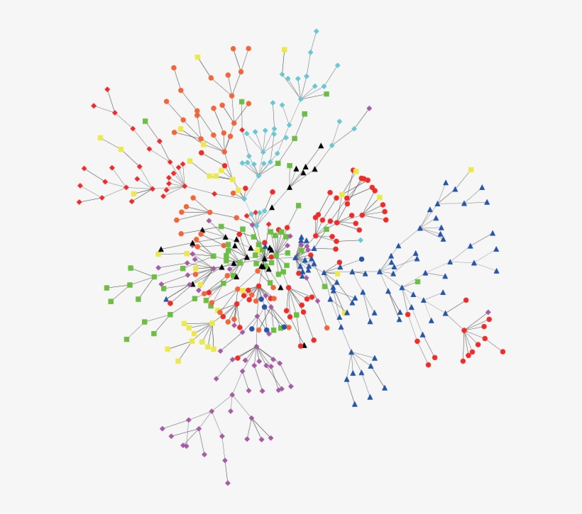 Minimum Spanning Tree Of 457 Stocks In The Us Stock - Stock Minimum Spanning Tree, transparent png download
