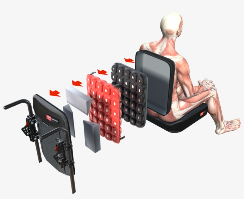 Spex™ Is Essentially Made Up Of A Powerful Combination - Spex Supershape, transparent png download