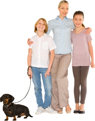 Join Now - Bach Flower Remedies (308x392), Png Download