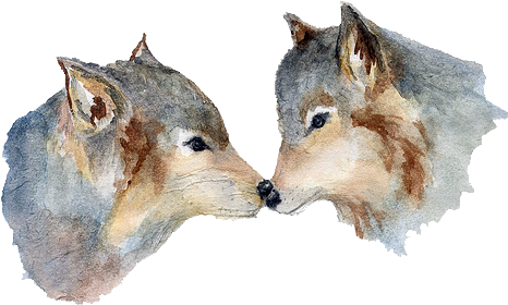 Wolf Transparent Tumblr Png (500x334), Png Download