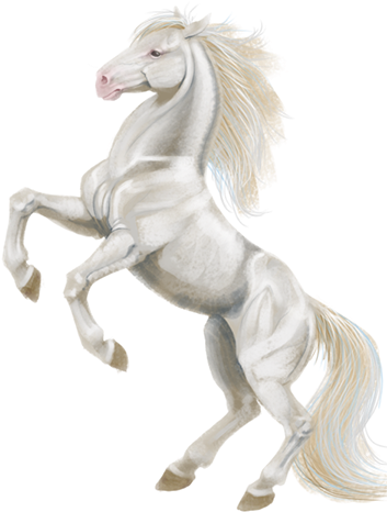 White Horse Png Images - Notebook Princess (360x488), Png Download