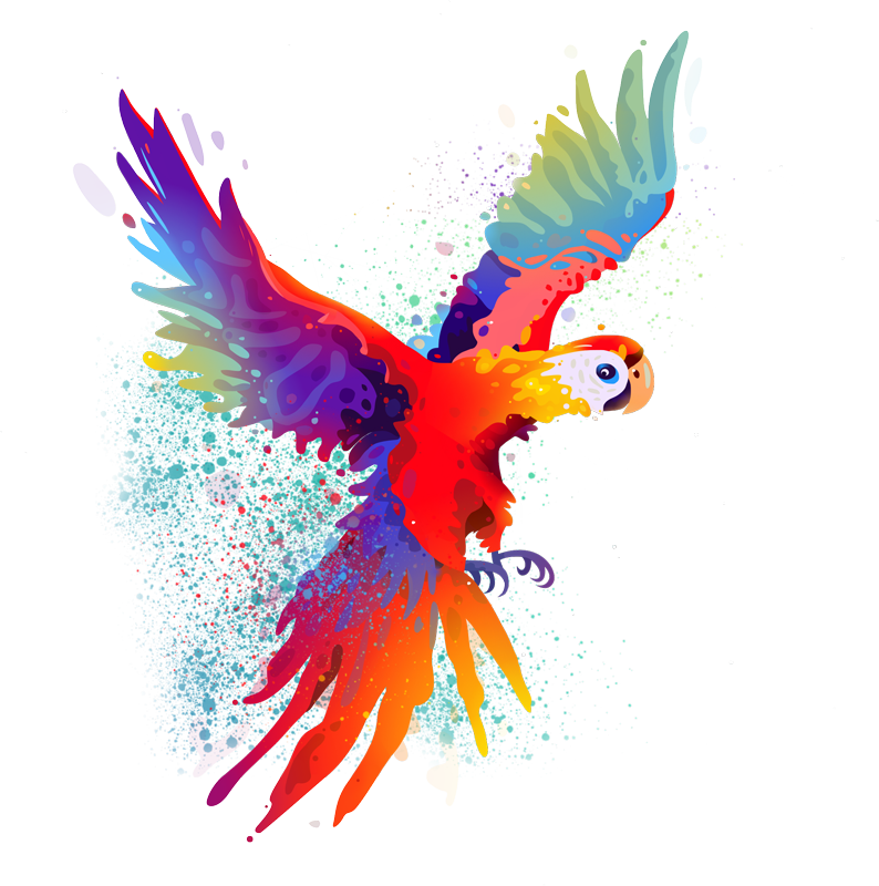 Play Video - Sketches App Parrot (794x800), Png Download